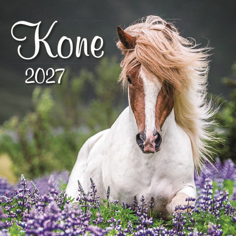 Kone_OB_SK_330x330_2027.jpg