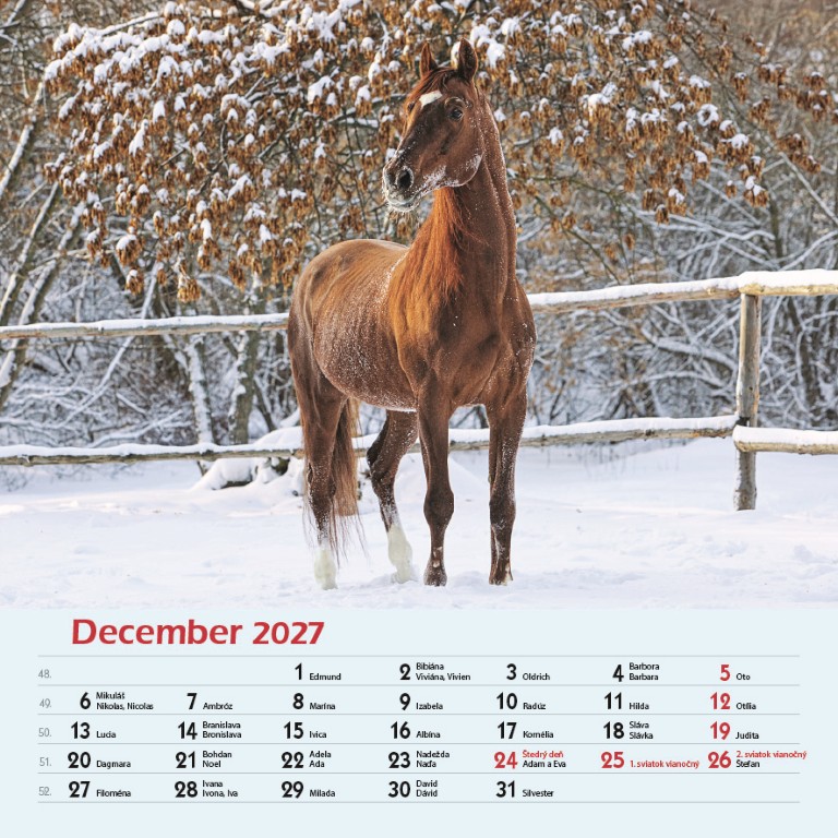 Kone_VN_SK_330x330_202712.jpg