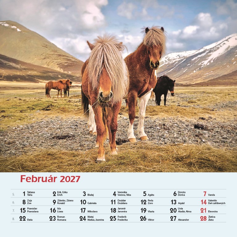 Kone_VN_SK_330x330_20272.jpg