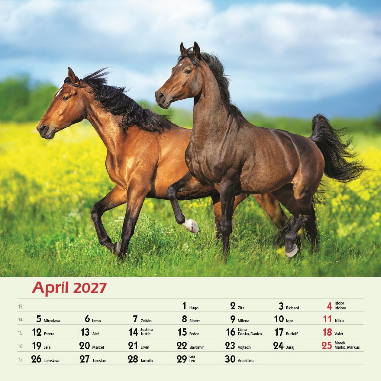 Kone_VN_SK_330x330_20274.jpg