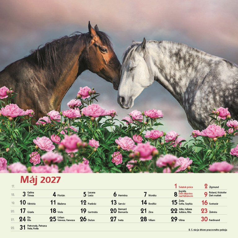 Kone_VN_SK_330x330_20275.jpg
