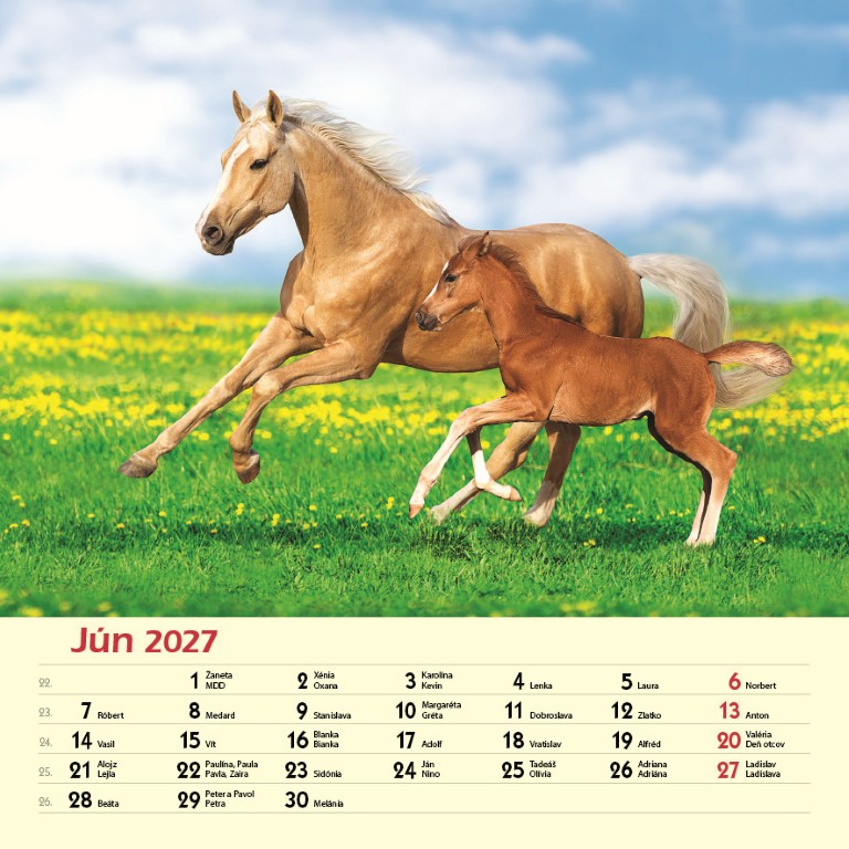 Kone_VN_SK_330x330_20276.jpg