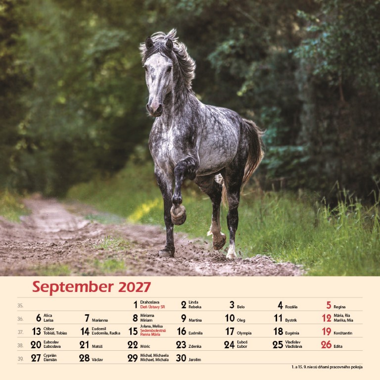 Kone_VN_SK_330x330_20279.jpg