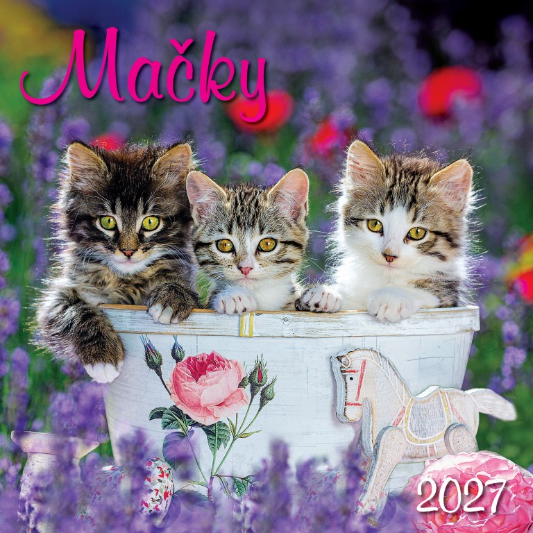 Macky_OB_SK_330x330_2027.jpg