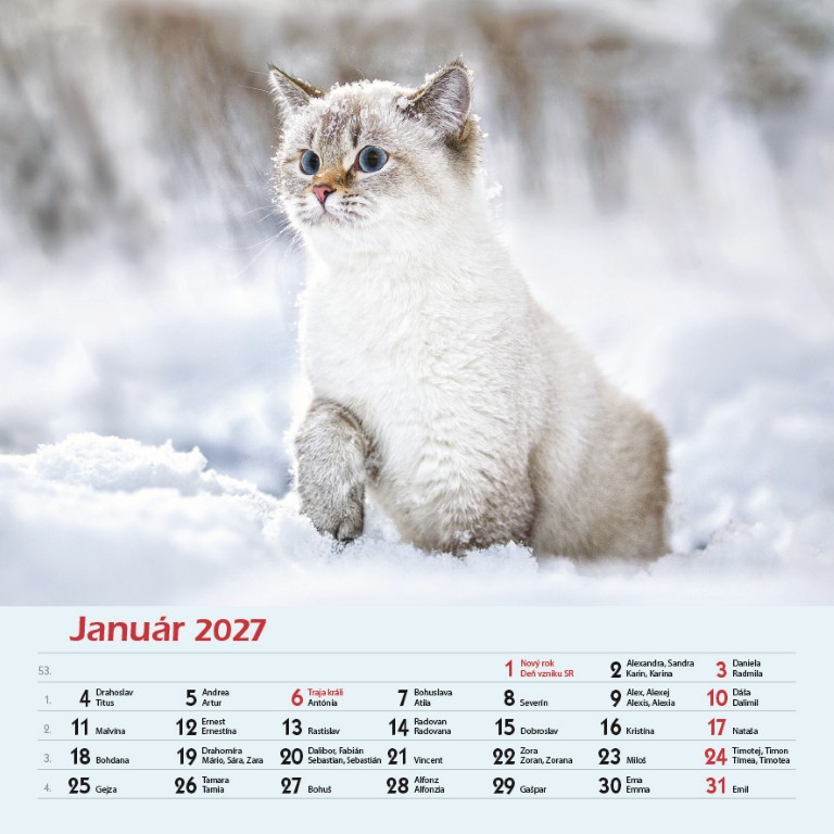 Macky_VN_SK_330x330_2027.jpg