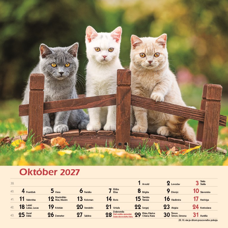 Macky_VN_SK_330x330_202710.jpg