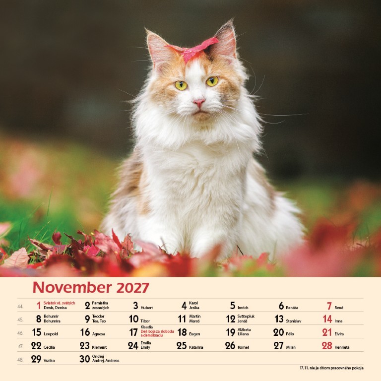 Macky_VN_SK_330x330_202711.jpg