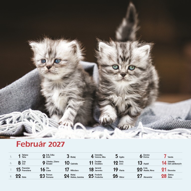 Macky_VN_SK_330x330_20272.jpg