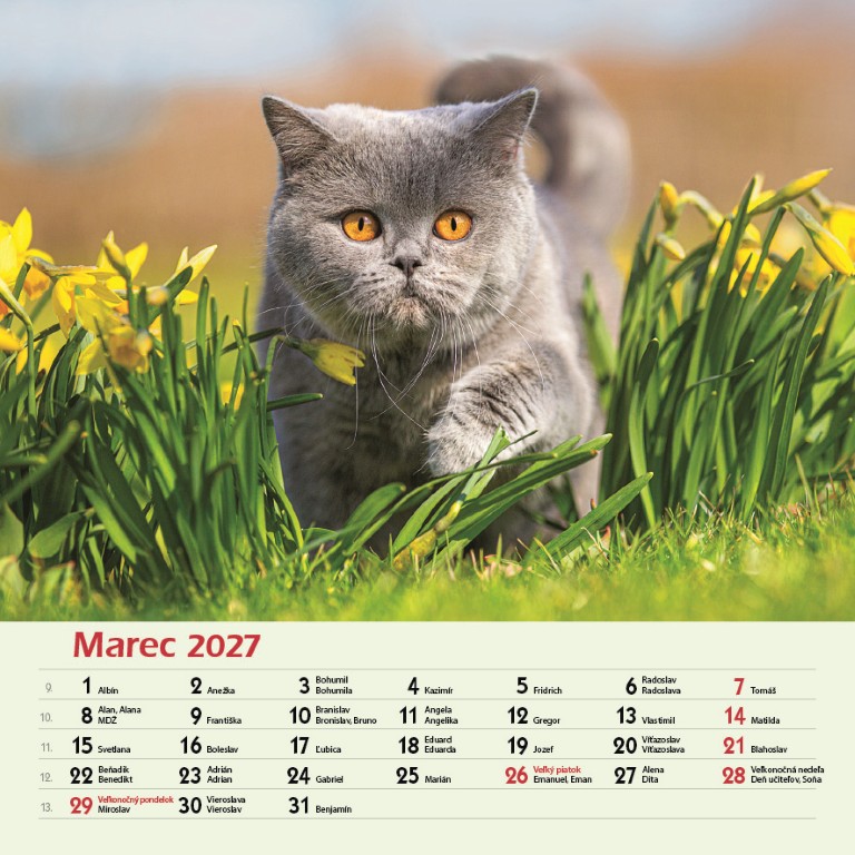Macky_VN_SK_330x330_20273.jpg