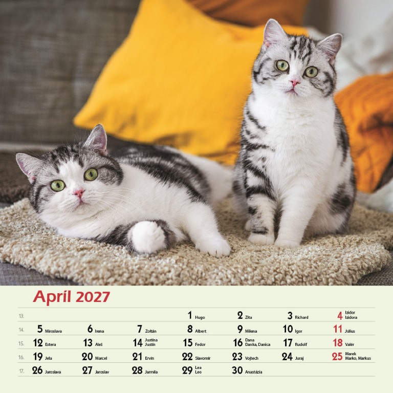 Macky_VN_SK_330x330_20274.jpg