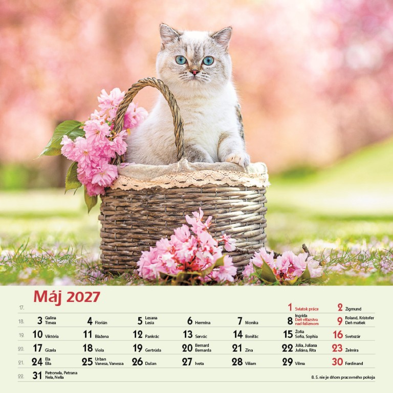 Macky_VN_SK_330x330_20275.jpg