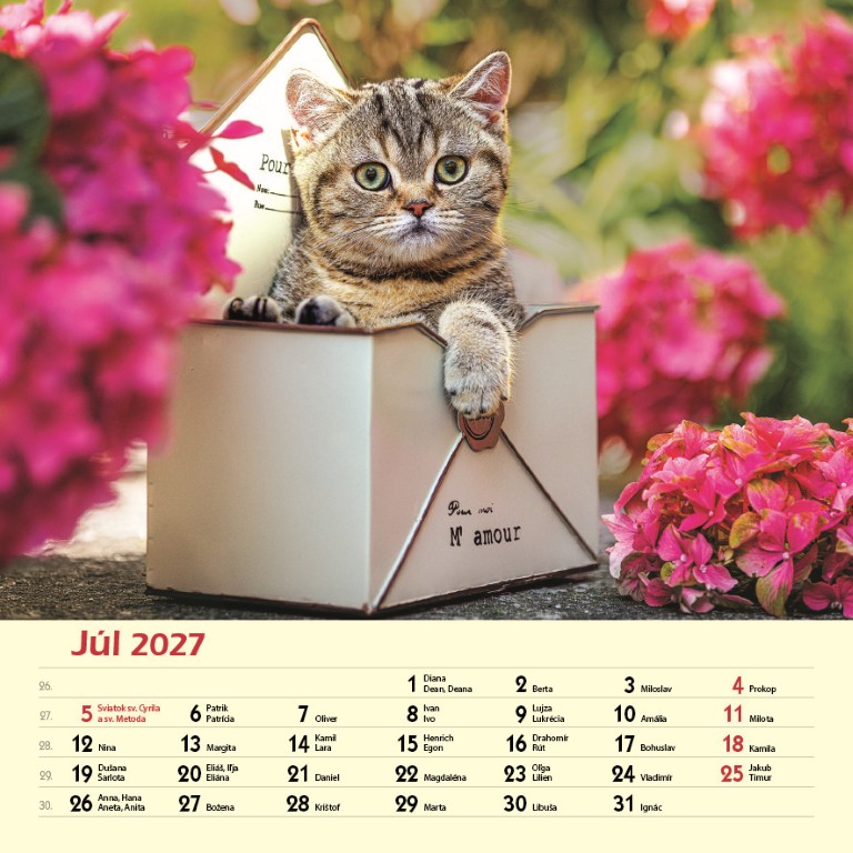 Macky_VN_SK_330x330_20277.jpg