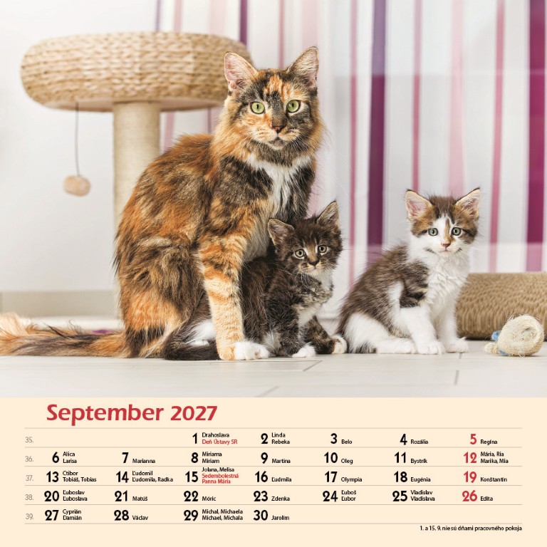 Macky_VN_SK_330x330_20279.jpg