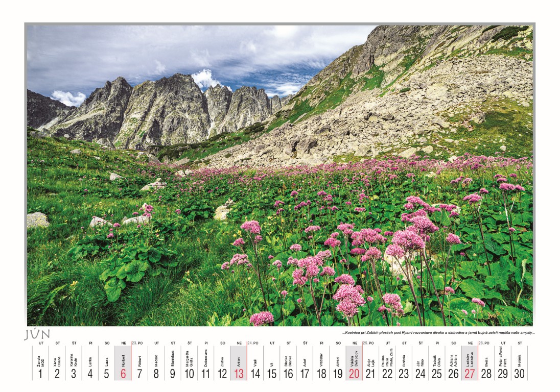Poezia-Tatier_VN_485x340_20276.jpg