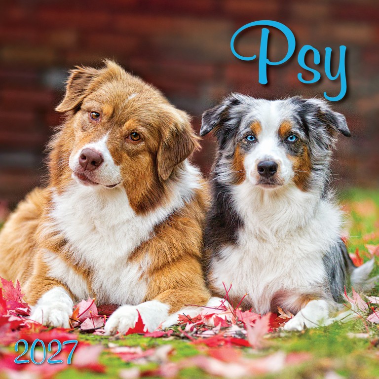Psy_OB_SK_330x330_2027.jpg