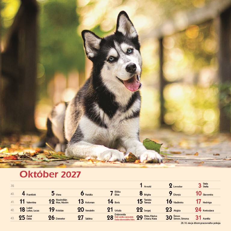 Psy_VN_SK_330x330_202710.jpg